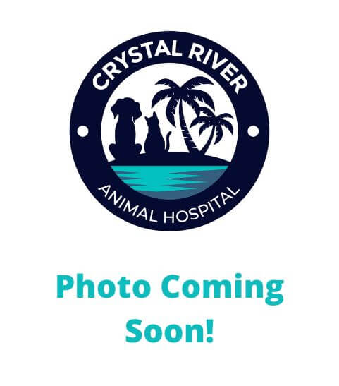 Crystal River Veterinary Hospital Team page-placeholder