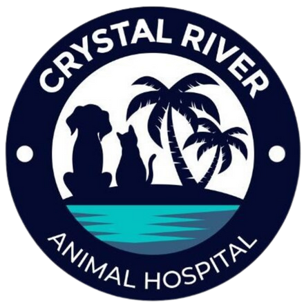 Crystal River Animal Hospital