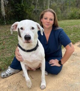 Veterinarian In Crystal River, FL | Crystal River